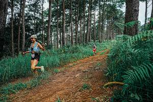 BIB: 
                            <button type="button" onclick="openModal(25689964)" class="btn btn-primary btn-sm float-right btn-popup" data-toggle="modal" data-target=".modal-high-quality">
                        <i class="fas fa-shopping-cart"></i> Add to Cart
                    </button>
                                            <button type="button" onclick="isThisMe(25689964, true)" class="btn btn-success btn-sm float-right btn-popup btn-isme hidden" data-toggle="tooltip" data-placement="bottom" title="นี่คือรูปของคุณใช่ไหม คลิกที่นี่เพื่อเอาเข้าอัลบั้ม">
                        <i class="fas fa-plus"></i> Add to album
                    </button>
                    <button type="button" onclick="isThisMe(25689964, false)" class="btn btn-warning btn-sm float-right btn-popup btn-isnotme hidden">
                        <i class="fas fa-ban"></i> Remove from album
                    </button>